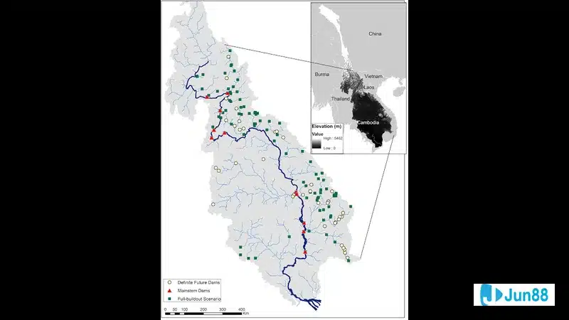 Đội hình dự kiến Australia và New Zealand trước trận đấu Đội hình dự kiến Australia và New Zealand trước trận đấu